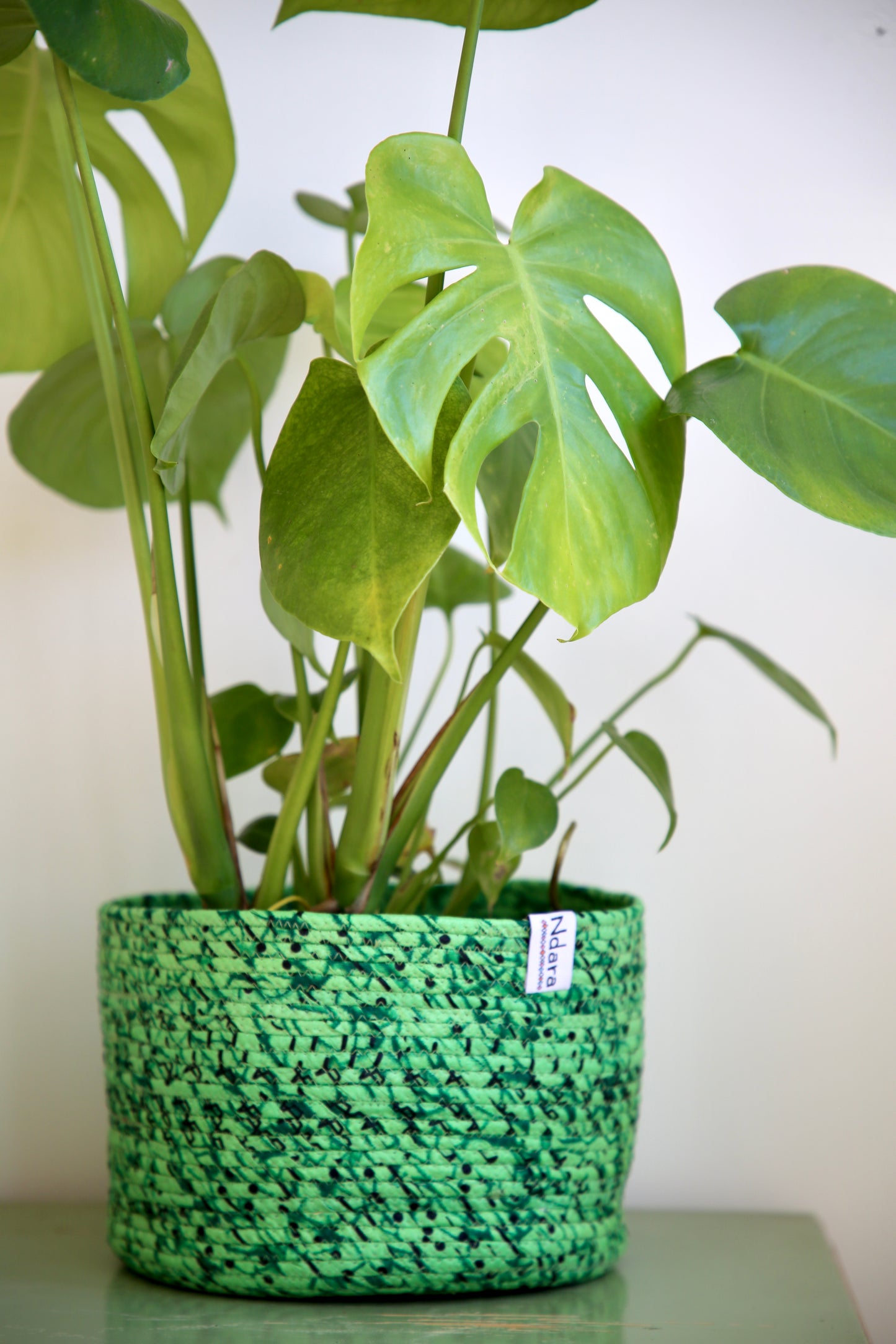Mint Basket : Large - Medium - Small