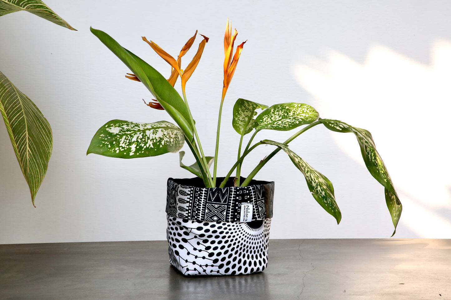 Zebra peacock foldable baskets