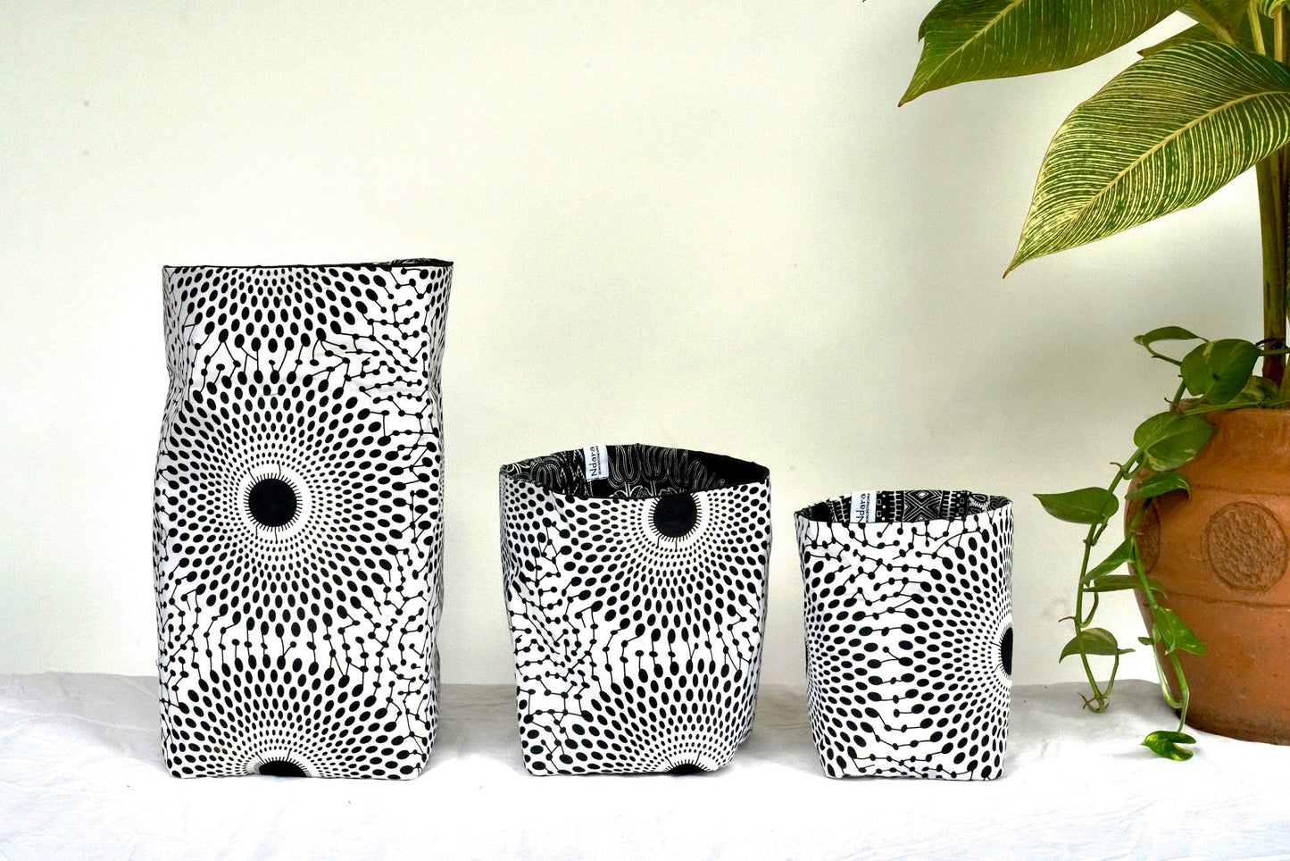 Zebra peacock foldable baskets