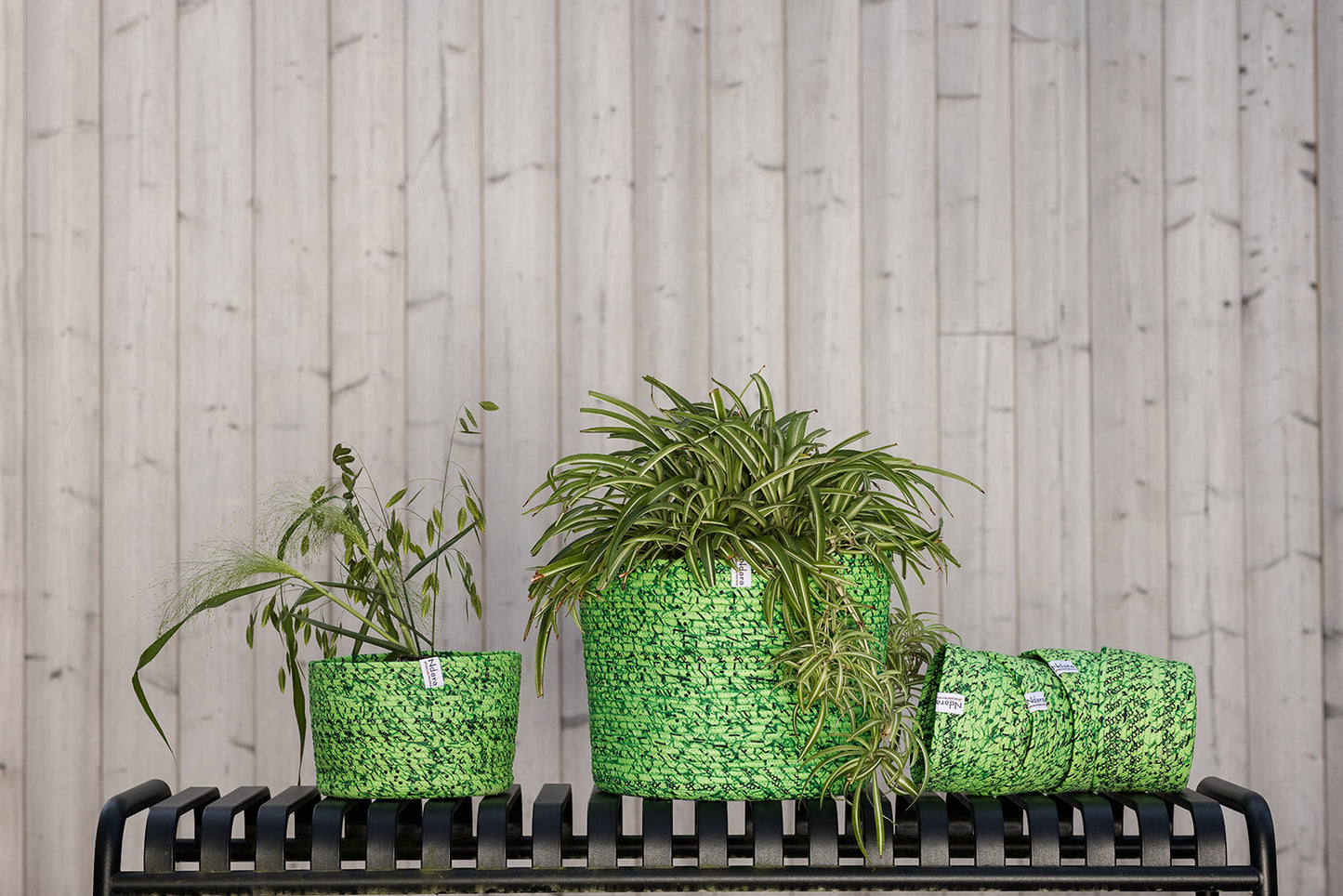 Mint Basket : Large - Medium - Small