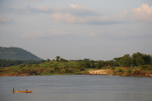 How to survive and thrive through different seasons.