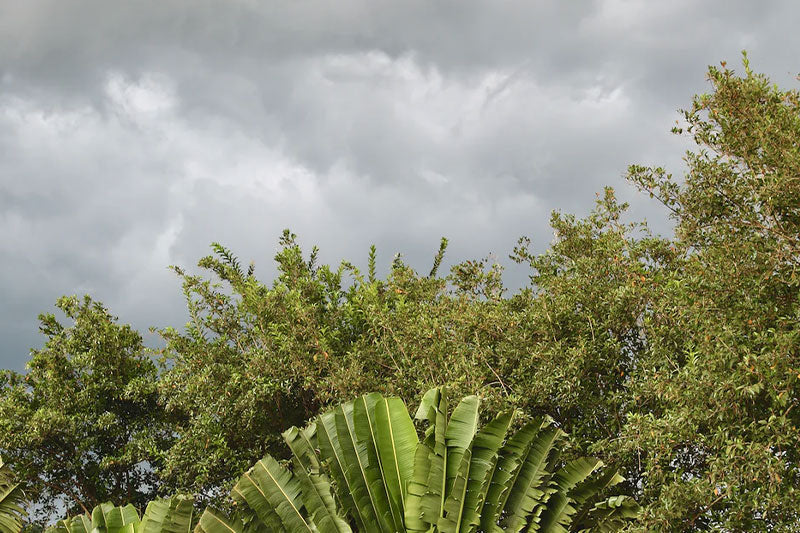 Criticism through creativity