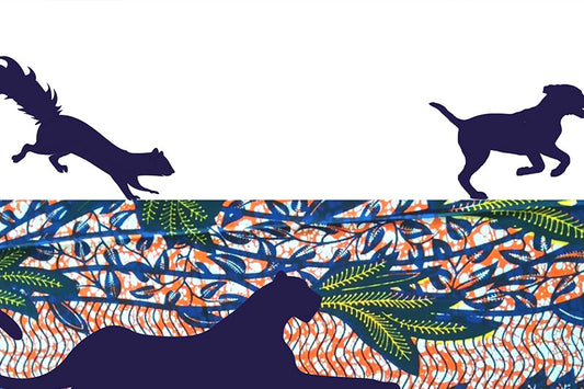 Mystery and marvel: The leopard, the dog and the squirrel