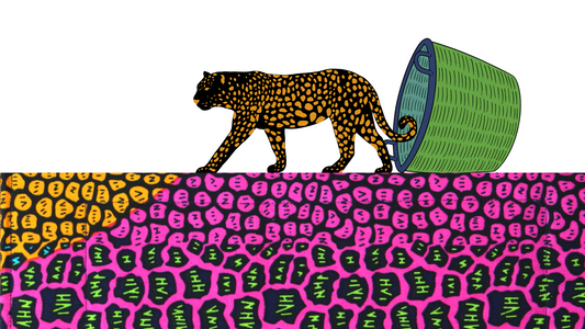 Mystery and marvel: Tere and the leopard