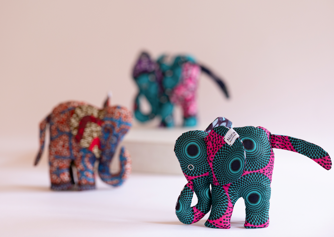 Mystery and marvel: Why the Elephant only has one child at a time.