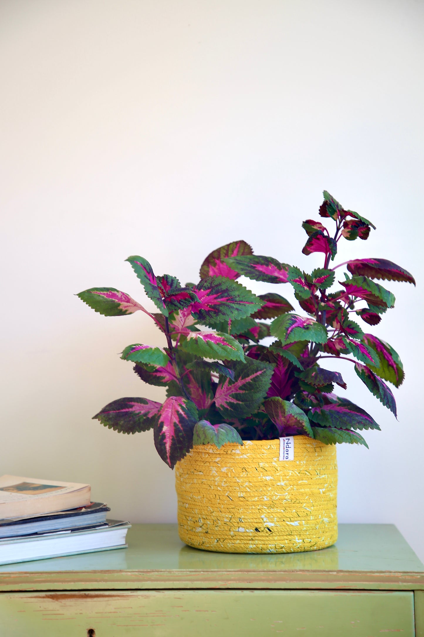 Sunshine Basket : Large - Medium - Small