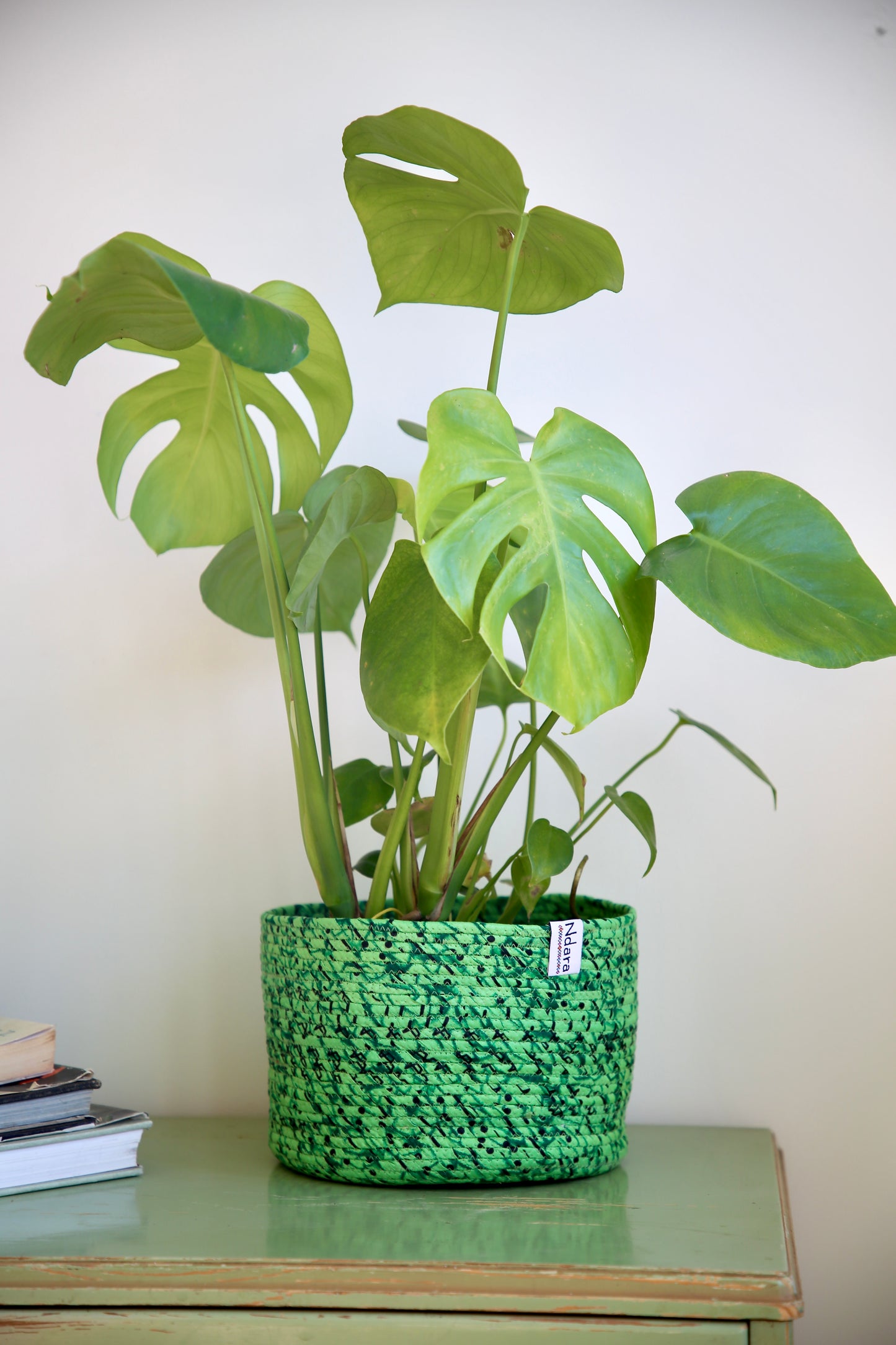 Mint Basket : Large - Medium - Small
