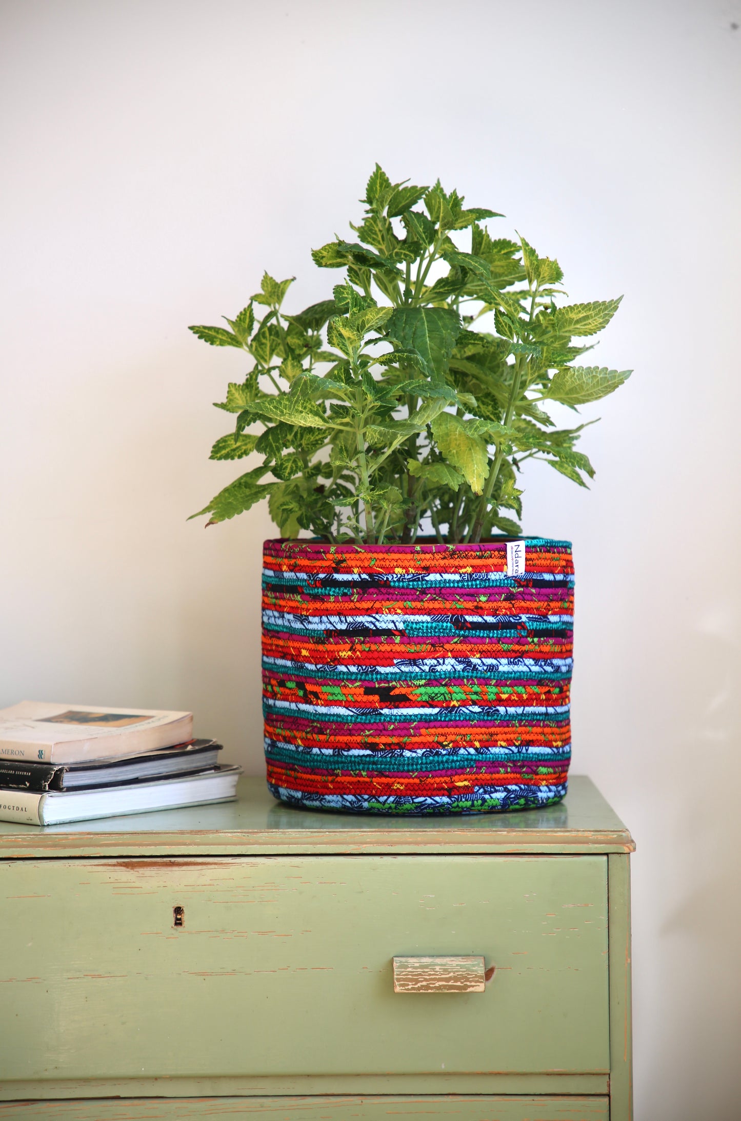 Sanza Tangerine : Large