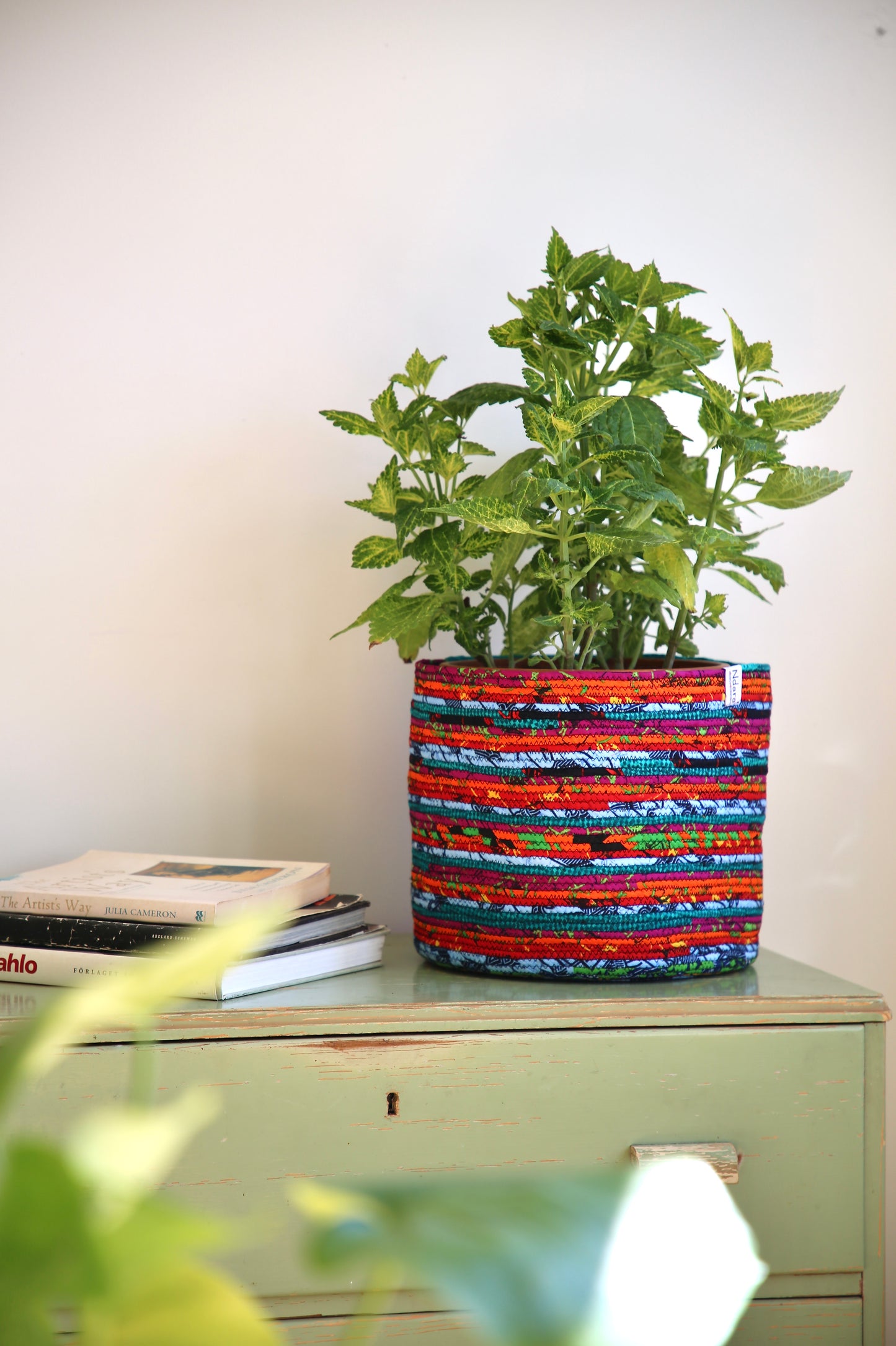 Sanza Tangerine : Large