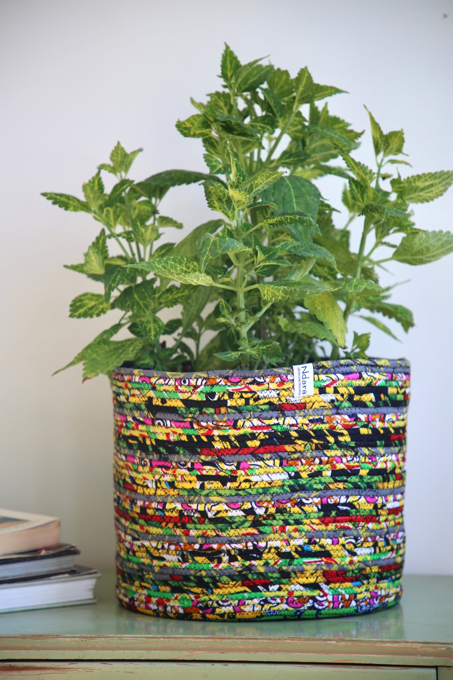 Sanza Lemon : Large
