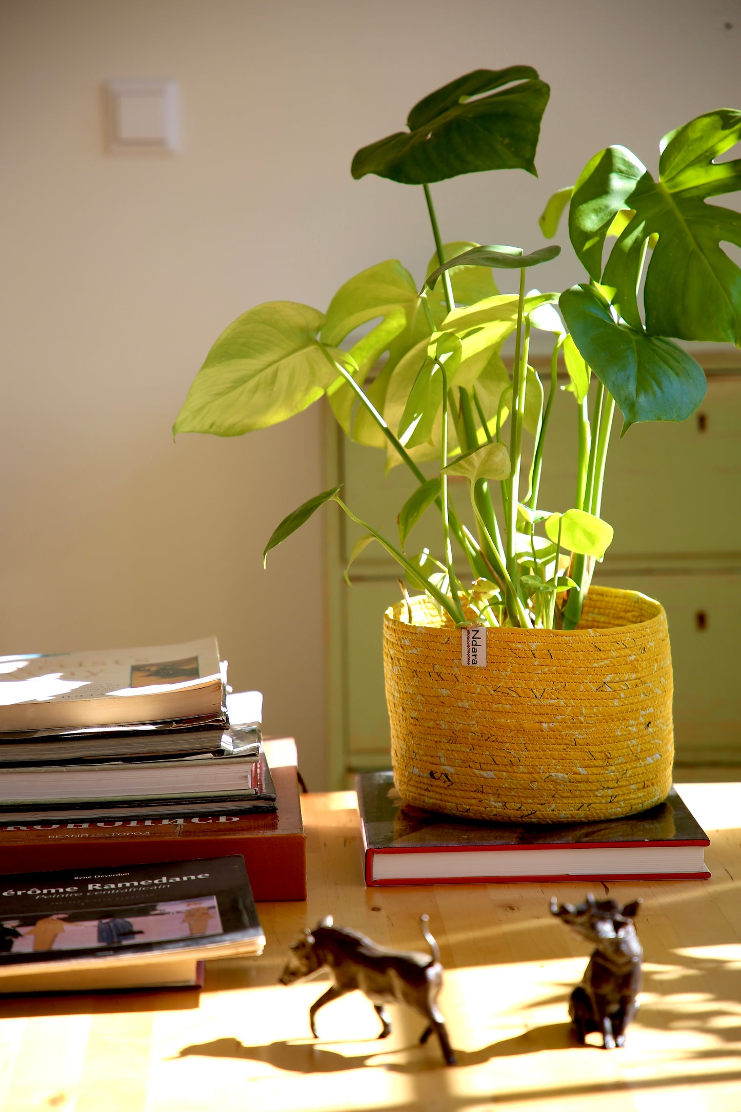 Sunshine Basket : Large - Medium - Small