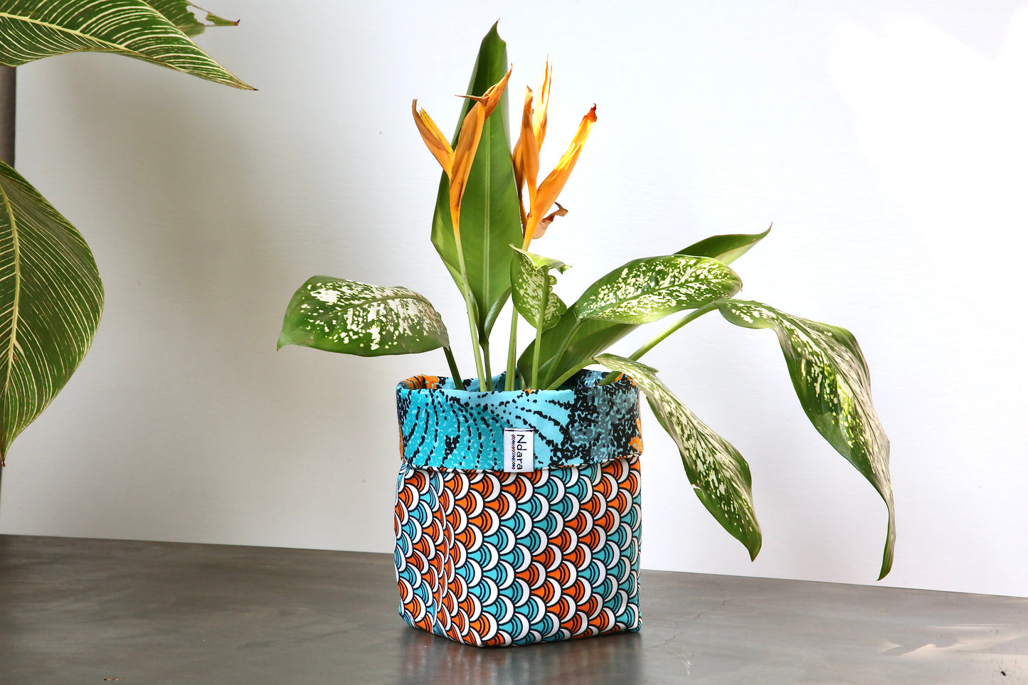 Fern foldable baskets