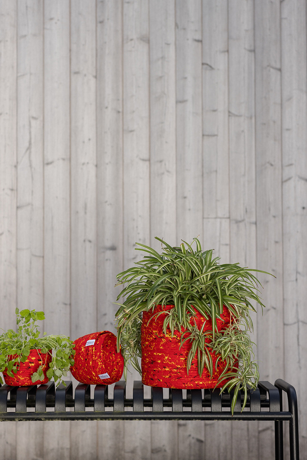 Poppy Basket : Large - Medium - Small