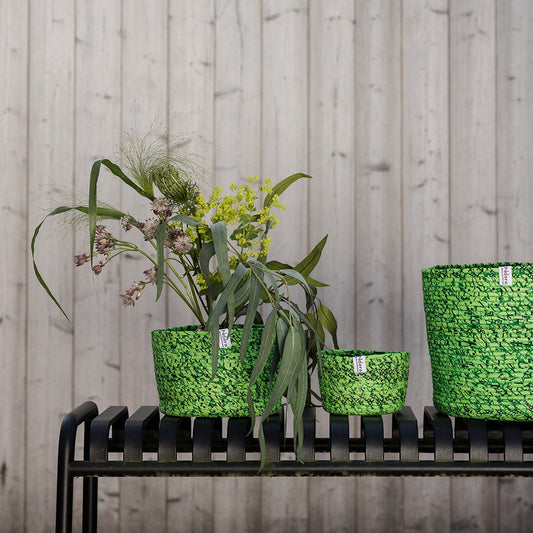 Mint Basket : Large - Medium - Small