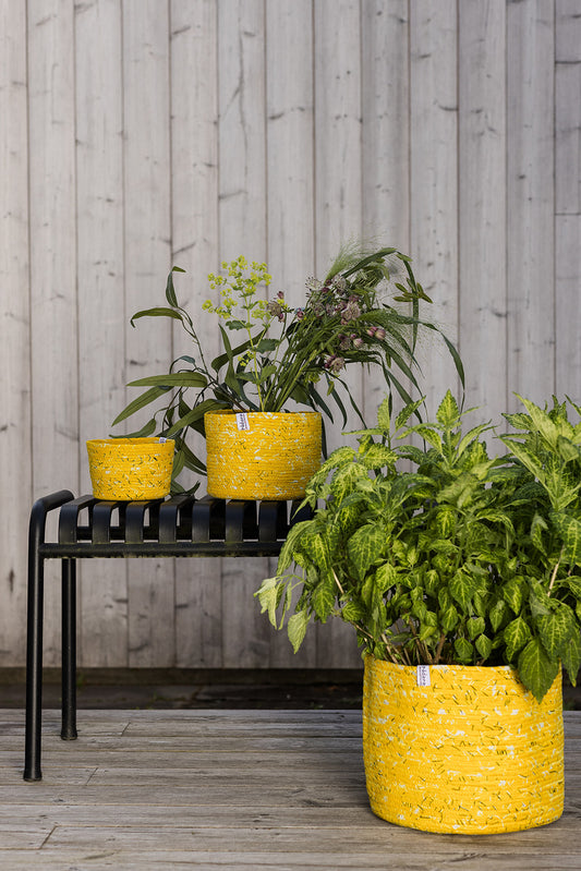 Sunshine Basket : Large - Medium - Small