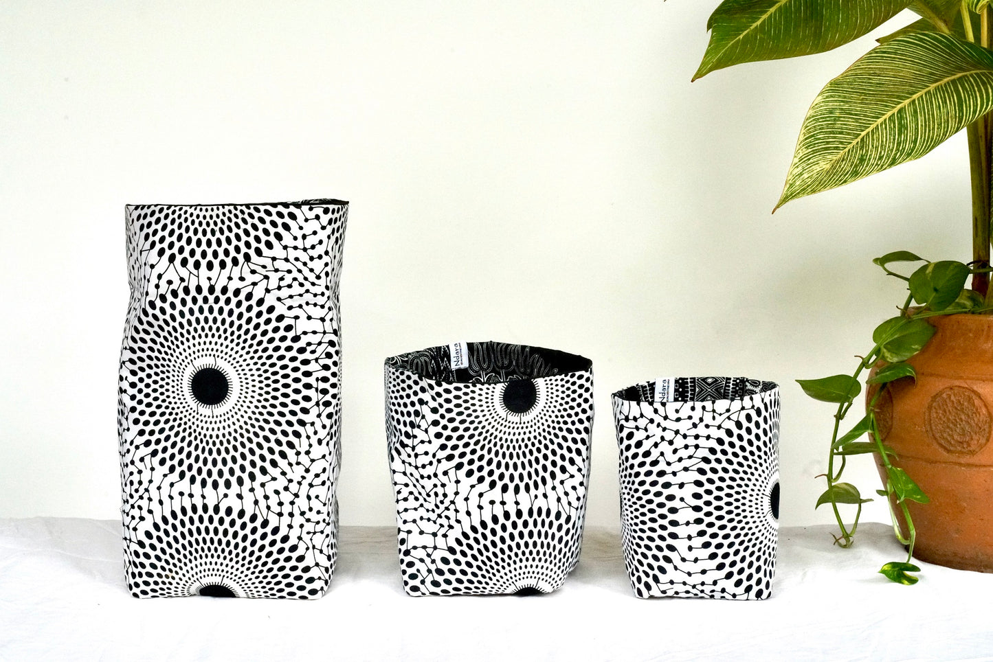 Zebra peacock foldable baskets